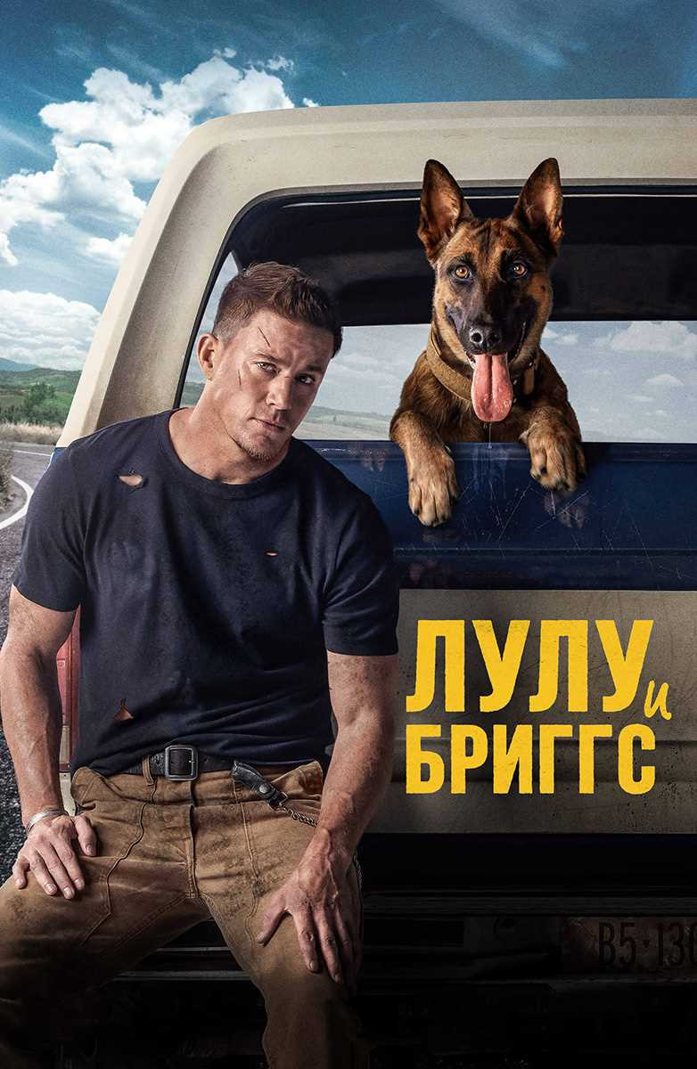 Бесплатные фильмы про животных: смотреть онлайн без регистрации