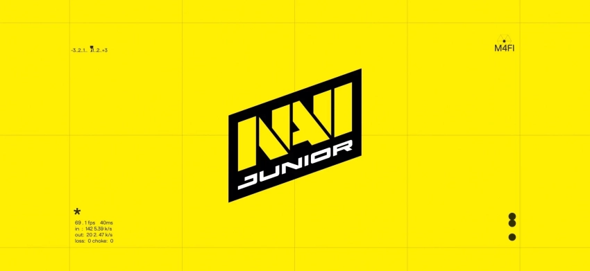 NAVI Junior выиграла турнир CCT Series 6 по Dota 2